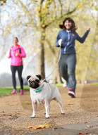 FEATURE - WonderWoof macht Hunde glücklich