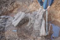 FEATURE - China: Dinosaurier Fund in Lufeng