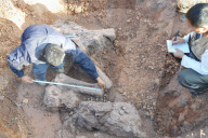 FEATURE - China: Dinosaurier Fund in Lufeng