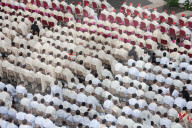 NEWS - Rom: Der Papst öffnet die heilige Pforte