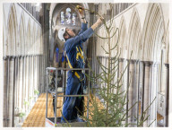 FEATURE - Salisbury: 10 Meter grosser Weihnachtsbaum in der Kathedrale