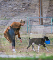 EXKLUSIV - Keine Hemmungen! Kate Upton's Hund lässt sich beim 'grossen Geschäft' ablichten