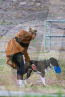 EXKLUSIV - Keine Hemmungen! Kate Upton's Hund lässt sich beim 'grossen Geschäft' ablichten