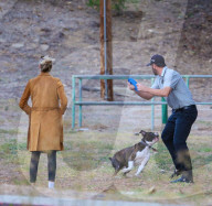 EXKLUSIV - Keine Hemmungen! Kate Upton's Hund lässt sich beim 'grossen Geschäft' ablichten