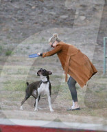 EXKLUSIV - Keine Hemmungen! Kate Upton's Hund lässt sich beim 'grossen Geschäft' ablichten