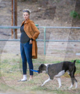 EXKLUSIV - Keine Hemmungen! Kate Upton's Hund lässt sich beim 'grossen Geschäft' ablichten