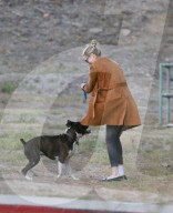 EXKLUSIV - Keine Hemmungen! Kate Upton's Hund lässt sich beim 'grossen Geschäft' ablichten