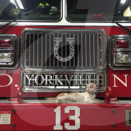 FEATURE - Carlow die Feuerwehrkatze 