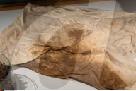 NEWS - Schweden: Konservierter Bischof Peder Winstrup aus dem 17. Jahrhundert