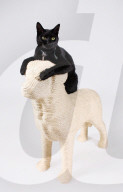 FEATURE - Kratzhund für Katzen