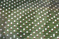 FEATURE - Weihnachtskränze auf dem Soldatenfriedhof in Arlington