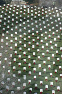 FEATURE - Weihnachtskränze auf dem Soldatenfriedhof in Arlington