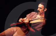 FRANK ZAPPA ; at the Pavillon de Paris, France ; February 1978 ; Credit : Georges Amann /DALLE