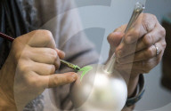 REPORTAGE - Handwerk: So entstehen die schÃ¶ne Weihnachtskugeln