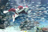 FEATURE - Santa Claus taucht unter