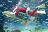 FEATURE - Santa Claus taucht unter