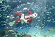 FEATURE - Santa Claus taucht unter