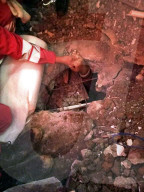 NEWS - Erdrutsch China: Retter finden Huhn in den Trümmern
