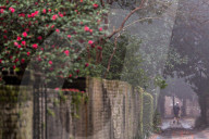 FEATURE - Das warme Wetter bringt Nebel nach Charleston