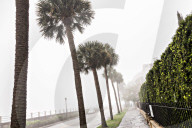 FEATURE - Das warme Wetter bringt Nebel nach Charleston