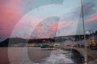 FEATURE - Kitschiger Sonnenaufgang in Aberystwyth in Wales