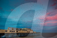 FEATURE - Kitschiger Sonnenaufgang in Aberystwyth in Wales