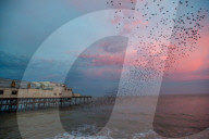 FEATURE - Kitschiger Sonnenaufgang in Aberystwyth in Wales