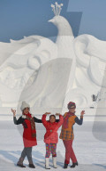 FEATURE - Schneeskulpturen in einem Park in Changchun