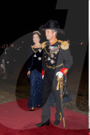 PEOPLE - Die Royals am Neujahrsempfang auf Schloss Amalienborg in Kopenhagen