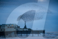 PEOPLE - Starscharen sind unterwegs