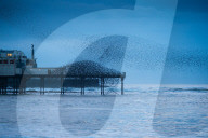 PEOPLE - Starscharen sind unterwegs