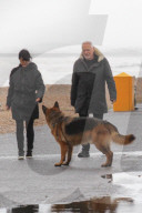 PEOPLE - David Gilmour macht einen Strandspaziergang