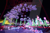 FEATURE - Eisskulpturen in China