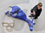 FEATURE - "Champagne Life" in der Saatchi Gallery London