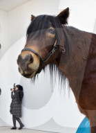 FEATURE - "Champagne Life" in der Saatchi Gallery London