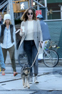 Dakota Johnson takes her dog Zeppelin for a walk in the West Village
