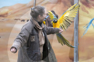 FEATURE - Tierische Inventur im Erlebnis-Zoo Hannover