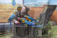 FEATURE - Tierische Inventur im Erlebnis-Zoo Hannover
