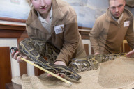 FEATURE - Tierische Inventur im Erlebnis-Zoo Hannover