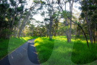 FEATURE - Wunderschönes Hawaii