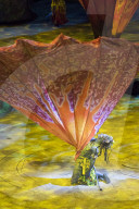 FEATURE - Cirque du Soleil- AuffÃ¼hrung in London
