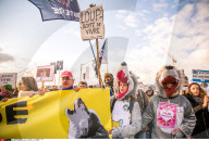 NEWS - Lyon: Proteste gegen die Wolfs-Jagd