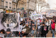 NEWS - Lyon: Proteste gegen die Wolfs-Jagd