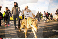 NEWS - Lyon: Proteste gegen die Wolfs-Jagd