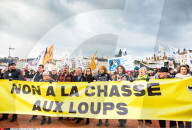 NEWS - Lyon: Proteste gegen die Wolfs-Jagd