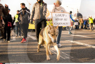 NEWS - Lyon: Proteste gegen die Wolfs-Jagd