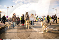 NEWS - Lyon: Proteste gegen die Wolfs-Jagd