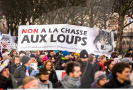NEWS - Lyon: Proteste gegen die Wolfs-Jagd