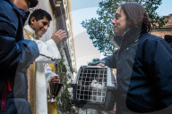 PEOPLE - "Animal blessing" am Saint Anthony's Tag in Madrid