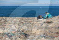 NEWS - Traurige Bilder der jährlichen Tier-Rettungs Aktion auf der Grassholm Insel, England